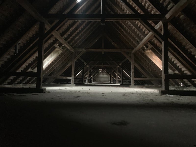 How To Keep Rodents Out Of Your Attic This Winter