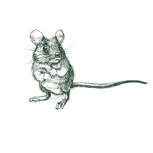 House Mouse Grn
