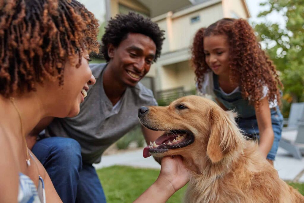 A Family Of Three, Two Adults And A Child, Happily Playing With A Golden Retriever Dog In Their Backyard.