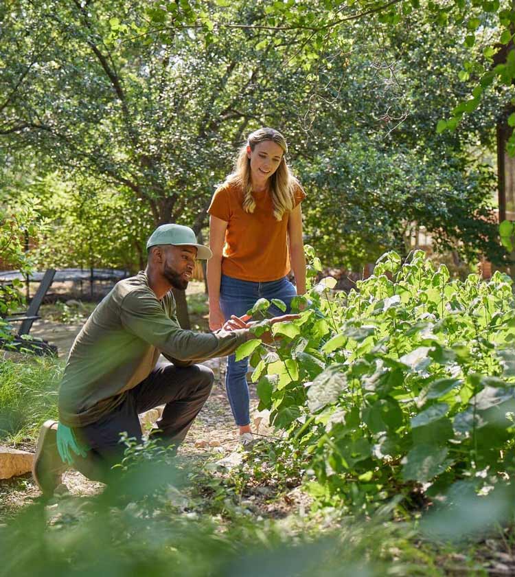 Aptive Pest Control Specialist Inspects Plant Leaves In A Lush Garden With A Homeowner Observing.