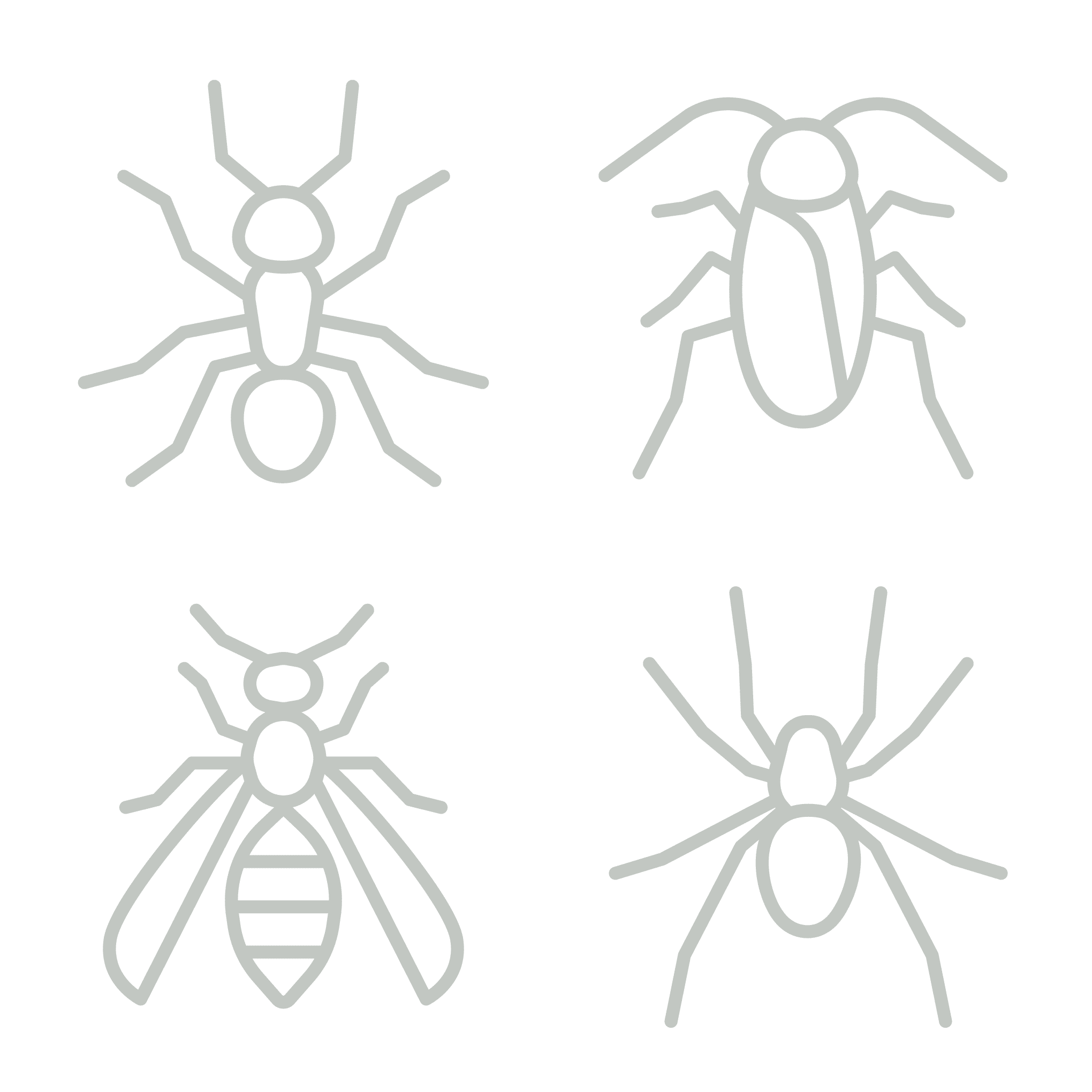 A Set Of Four Minimalist Green Icons On A Black Background, Each Depicting Different Types Of Insects: An Ant, A Cockroach, A Wasp, And A Spider. The Simple Line Art Style Effectively Communicates The Distinctive Physical Features Of Each Insect, Useful For Educational Or Informational Purposes.