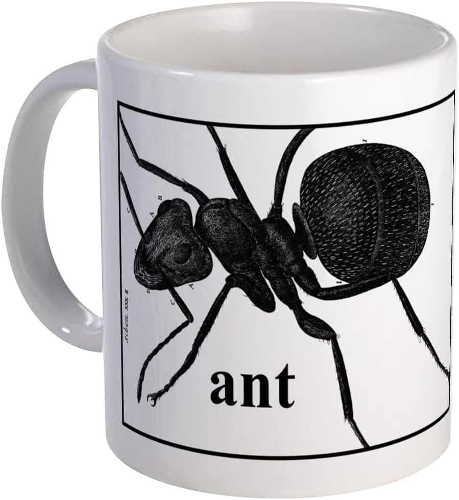 A White Ceramic Mug Featuring A Black Line Art Illustration Of An Ant With The Label &Quot;Ant,&Quot; Displayed Against A Plain Background.