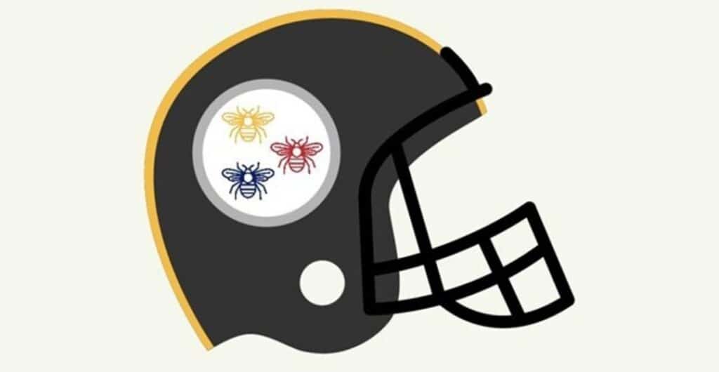 Lack Football Helmet With A Yellow Stripe Along The Edge And A White Circular Logo. The Logo Contains Three Bees In Yellow, Red, And Blue. The Helmet Includes A Black Faceguard.